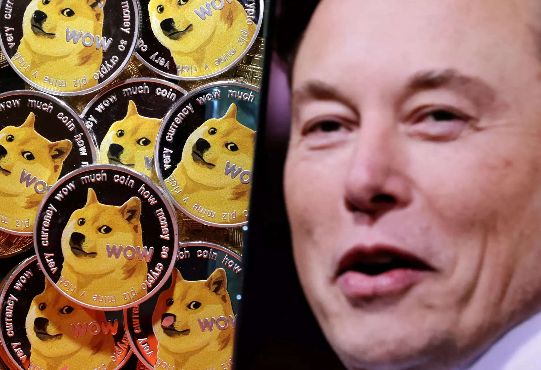 Musk replaces Twitter blue bird logo with Doge meme